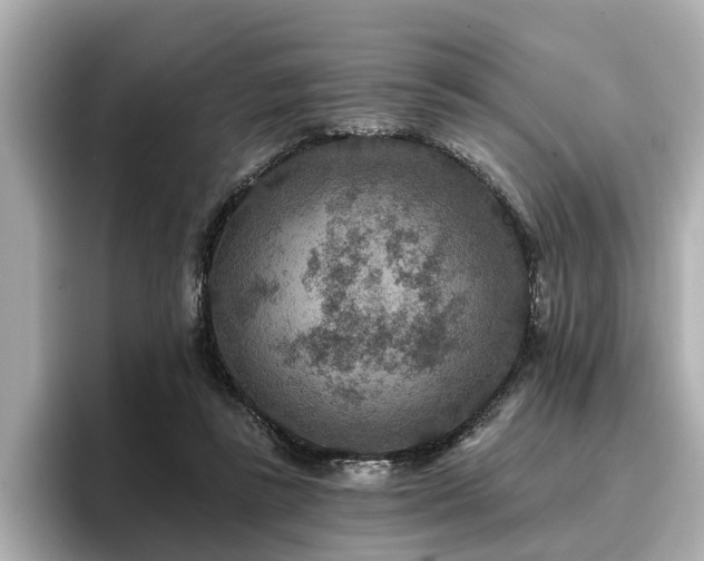 X0000096710355200802051426