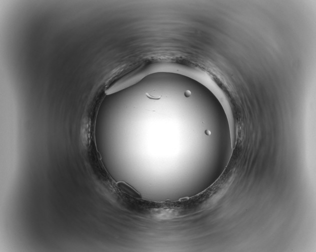 X0000096710356200802051426