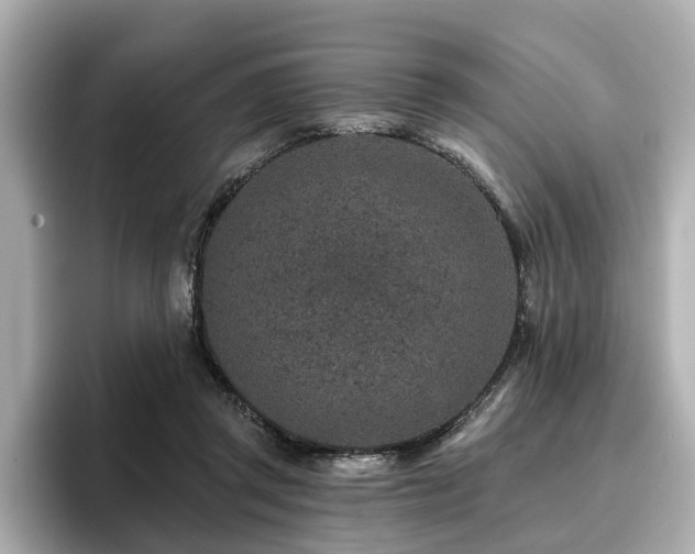 X0000096710357200802051426