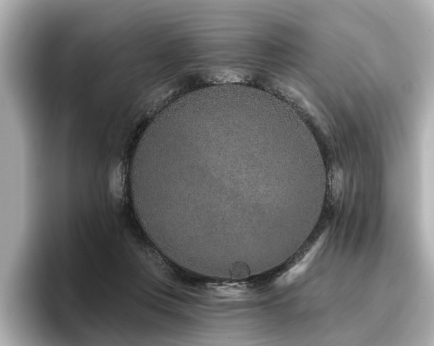 X0000096710359200802051426