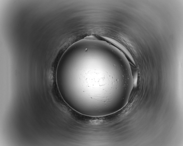 X0000096710362200802051426