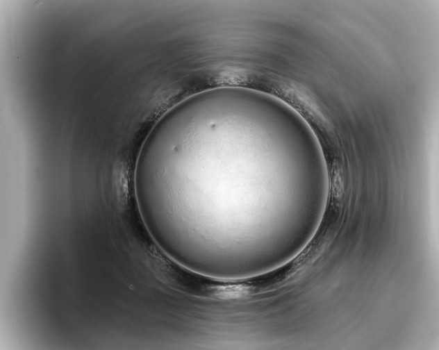 X0000096710363200802051426