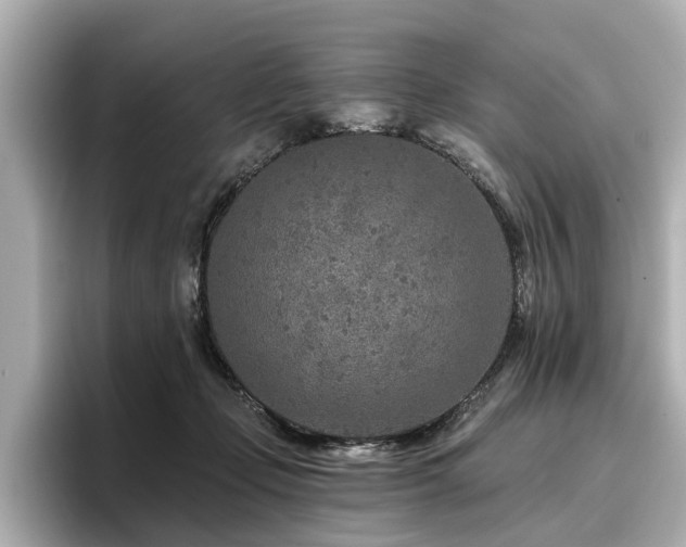 X0000096710365200802051426