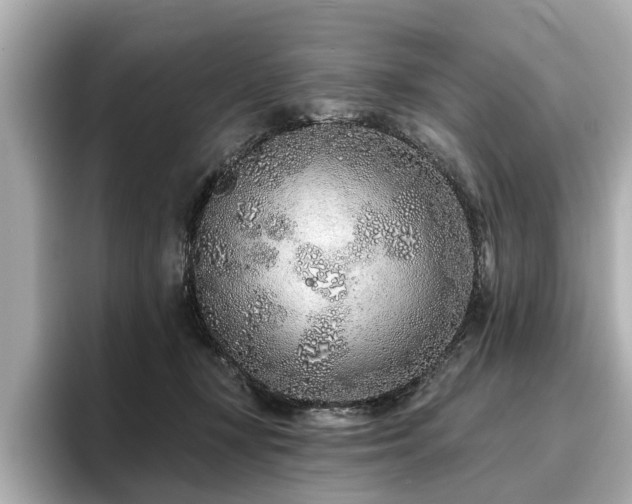 X0000096710367200802051426