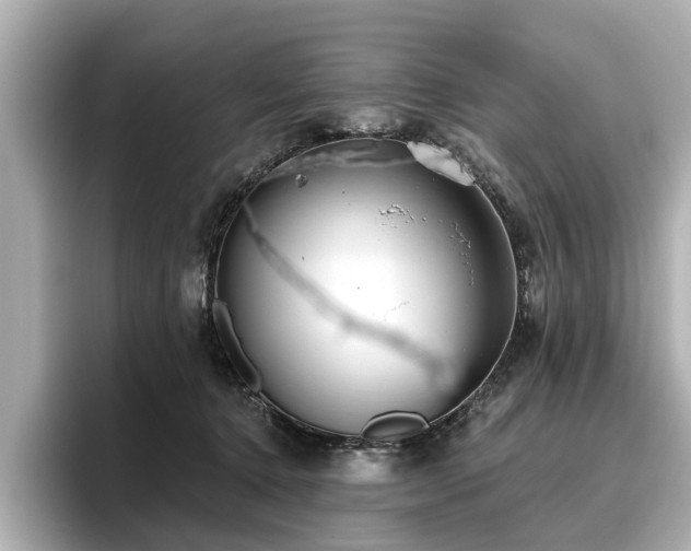 X0000096710368200802051426