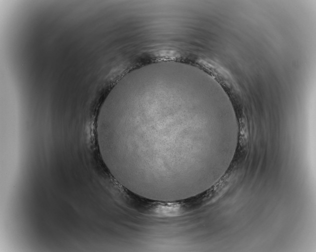 X0000096710369200802051426