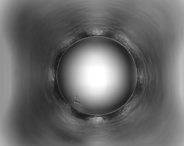 X0000096710374200802051426