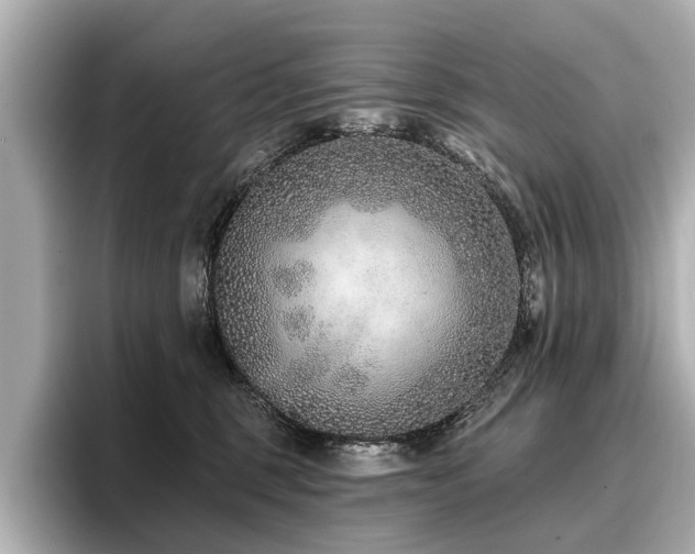 X0000096710375200802051426