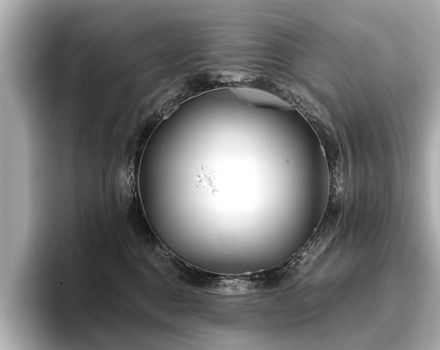 X0000096710376200802051426