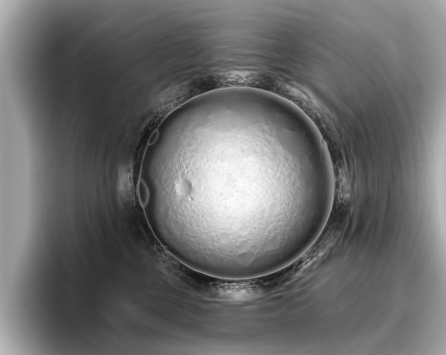 X0000096710377200802051426