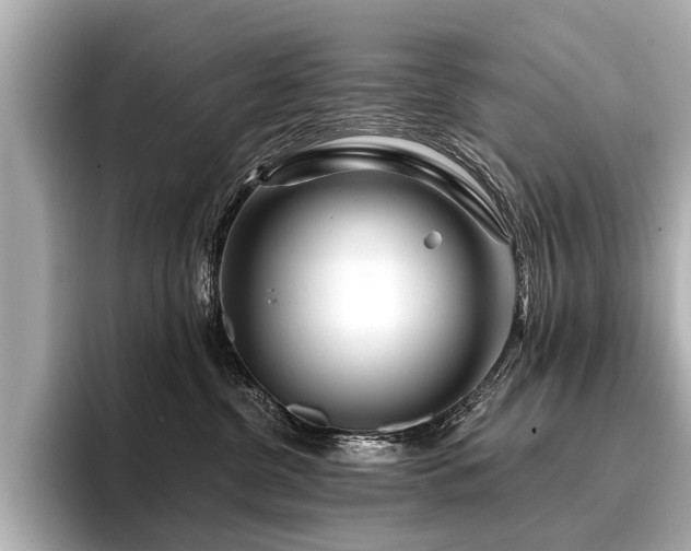 X0000096710380200802051426