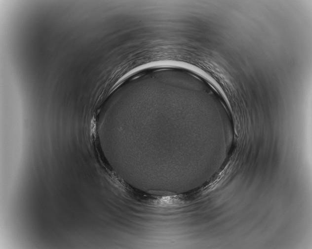 X0000096710382200802051427