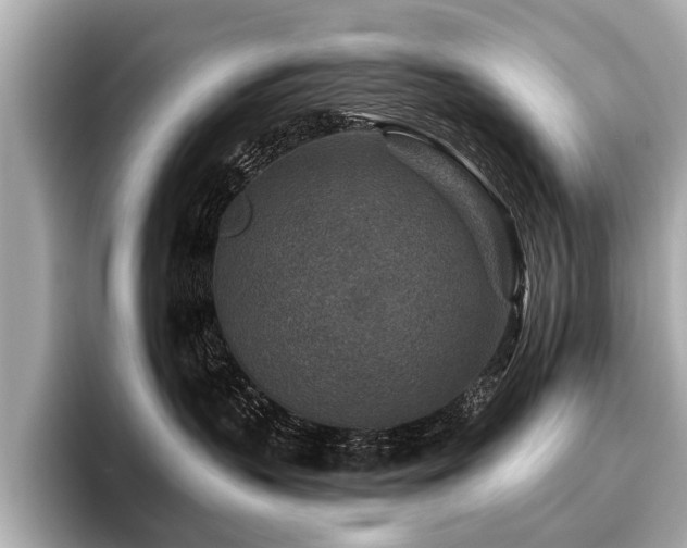 X0000096710383200802051427