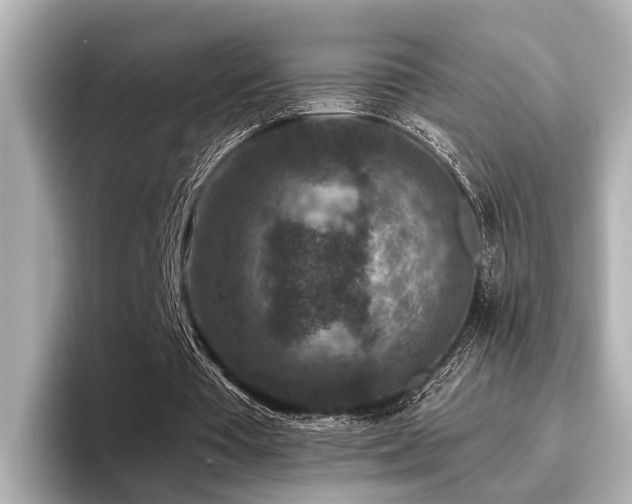 X0000096710385200802051426