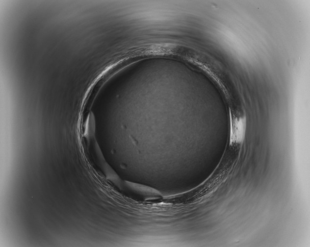 X0000096710387200802051426