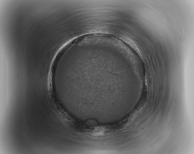 X0000096710388200802051426