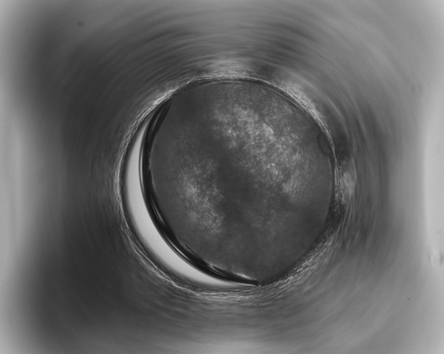 X0000096710389200802051426