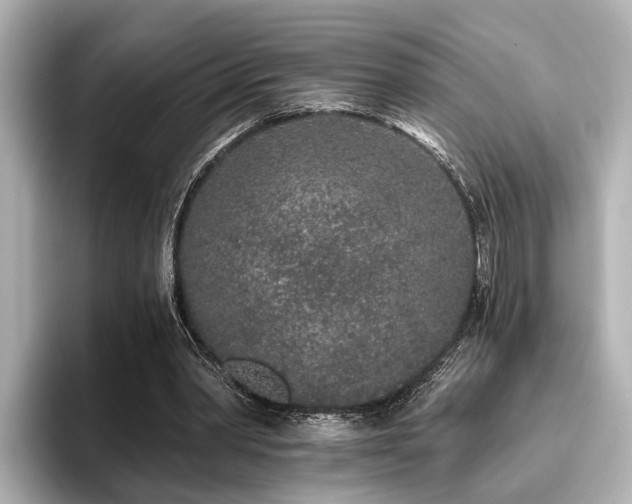 X0000096710390200802051426