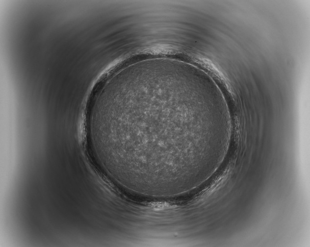 X0000096710392200802051426