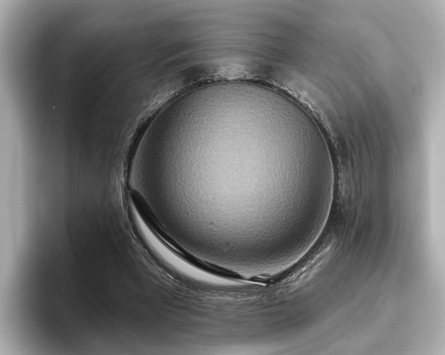 X0000096710393200802051426