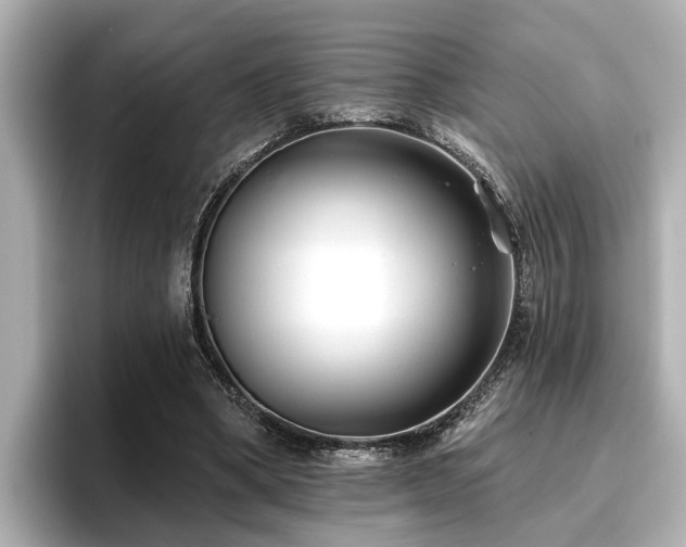 X0000096710394200802051426