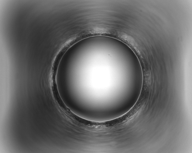 X0000096710395200802051426