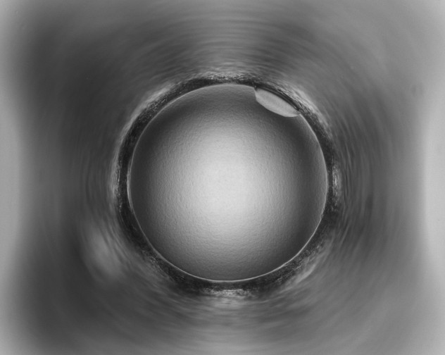 X0000096710396200802051426