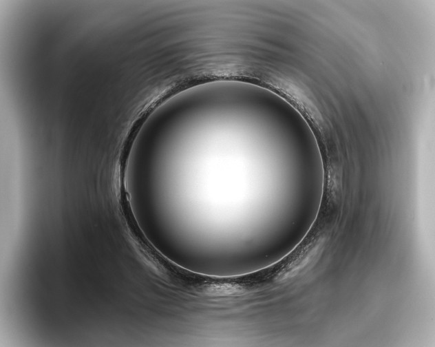 X0000096710397200802051426