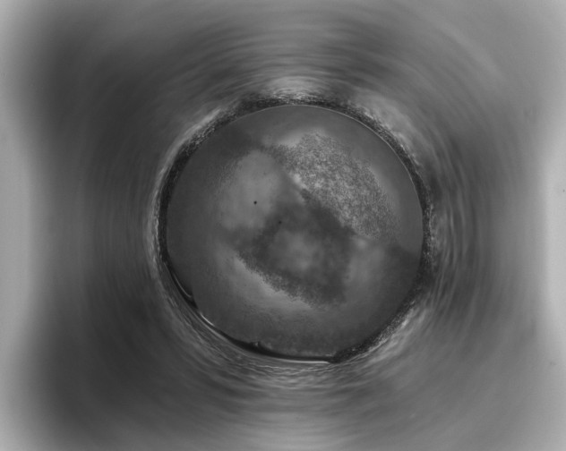 X0000096710399200802051426