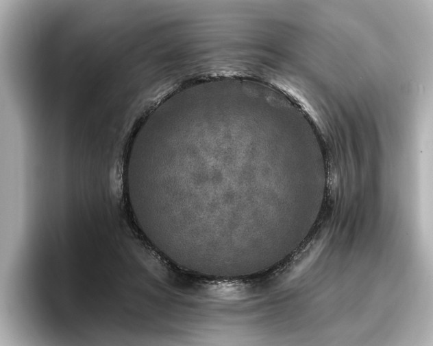 X0000096710402200802051426