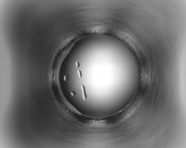 X0000096710403200802051426