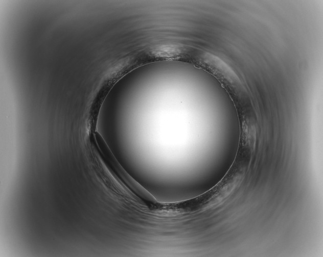 X0000096710404200802051426