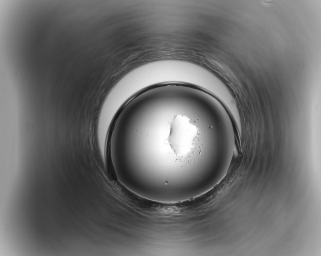 X0000096710409200802051426