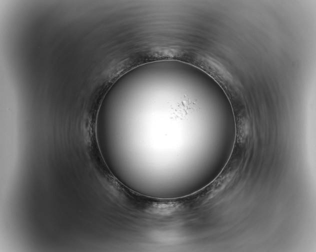 X0000096710414200802051426