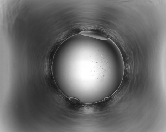 X0000096710416200802051426