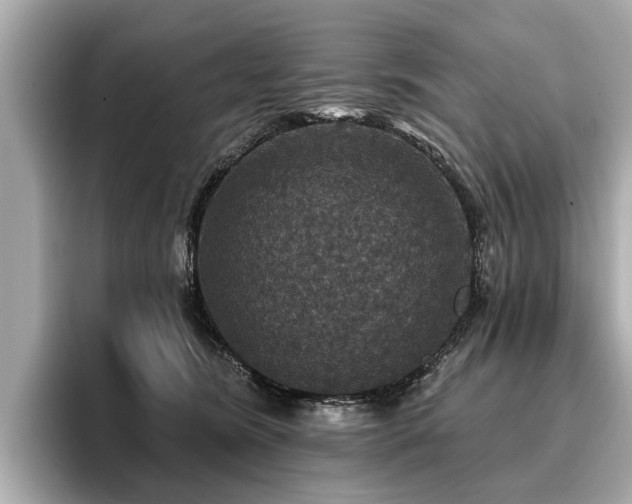 X0000096710420200802051425