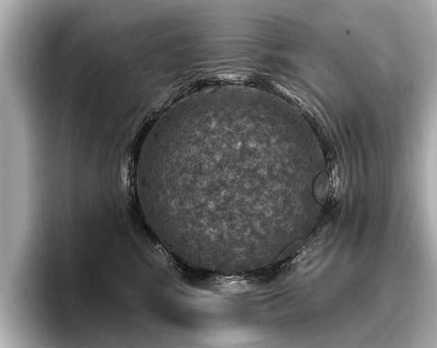 X0000096710424200802051425