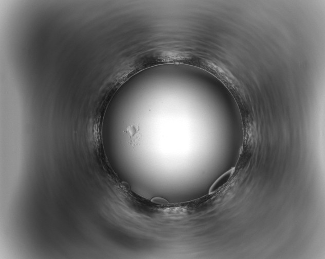 X0000096710426200802051425