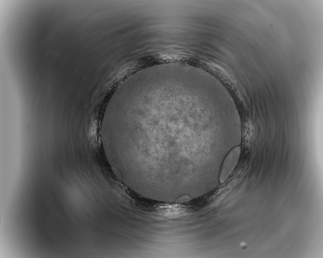 X0000096710428200802051425