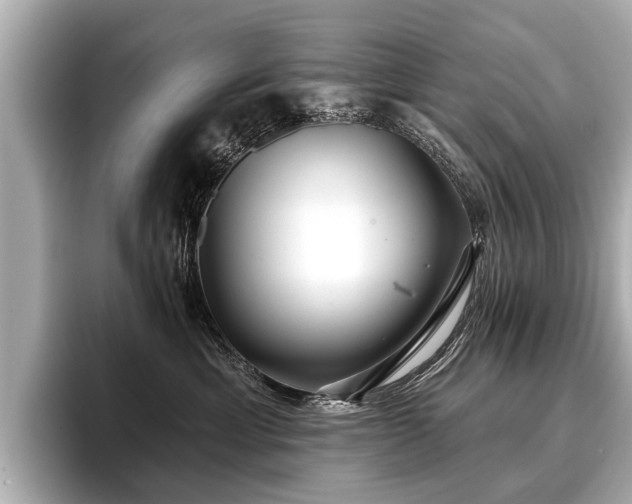 X0000096710429200802051425