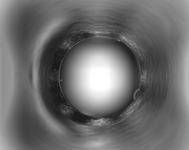 X0000096710430200802051425