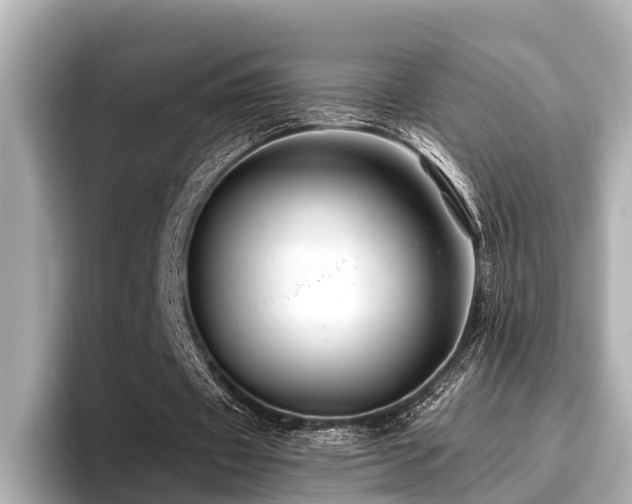 X0000096710433200802051424