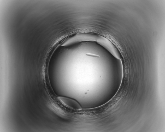 X0000096710434200802051424