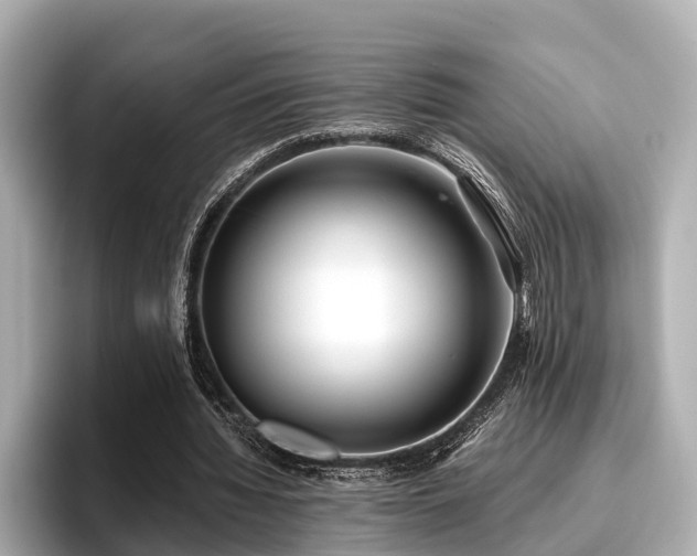 X0000096710436200802051425