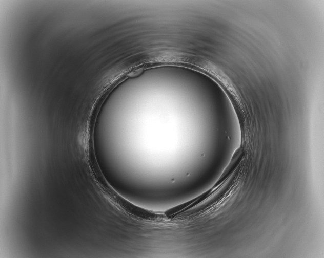 X0000096710437200802051425