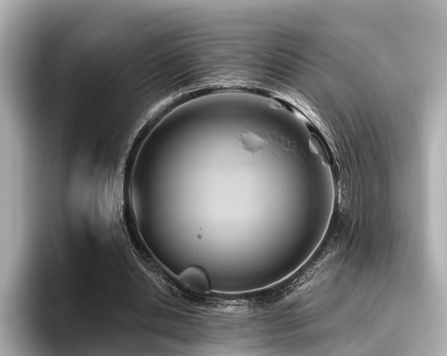 X0000096710438200802051425