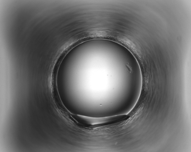 X0000096710439200802051425