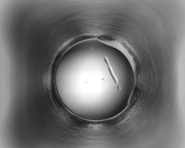 X0000096710440200802051425