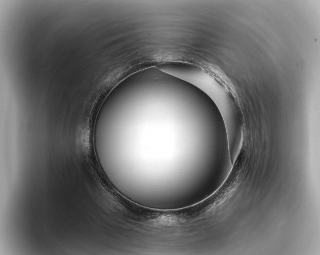 X0000096710441200802051425