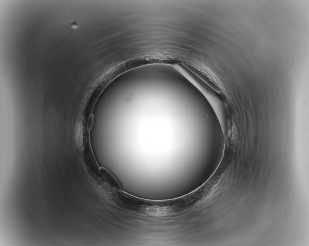 X0000096710444200802051425